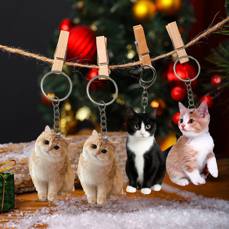 Siyah Ve Beyaz Kedi Anahtarlık - Resin Art Design Keychain incelemesi ve fiyatı